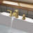 Widespread 2-handle Bathroom Faucet