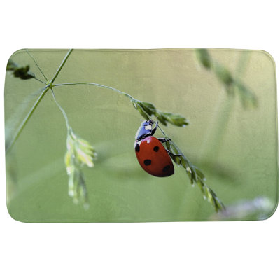 Tapis pour salle de bain Kalama