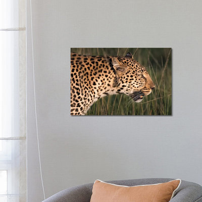 Africa, Kenya, Maasai Mara National Reserve. Close Up Of Walking Leopard by Jaynes Gallery - Wrapped Canvas Print