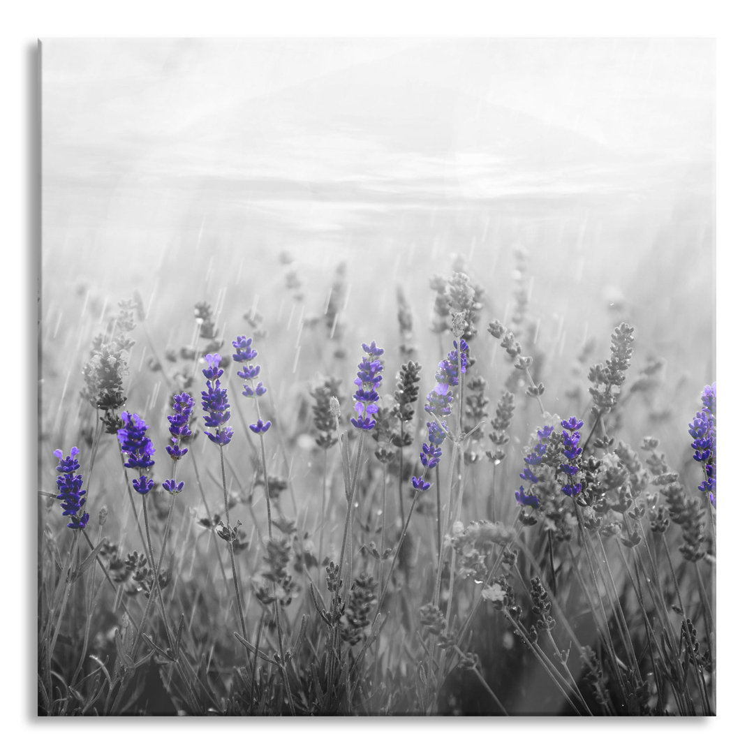 Glasbild Beautiful Lavender Field