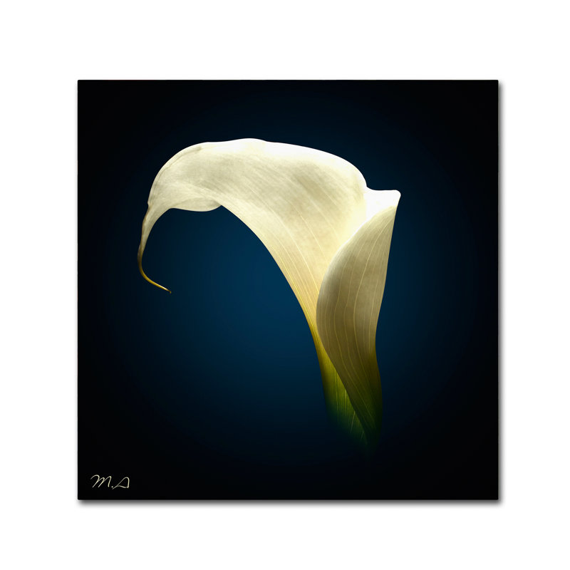 Impression sur toile tendue «Kieninger 1» par Kieninger, H 24 po x l 24 po x P 2 po