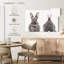 Portrait de lapin Brampt-107830640