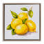 «Lemon Delights Fruit», art mural encadré flottant par Andrea Haase-107183304-111985956
