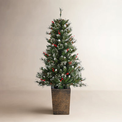 Potted 4' Pre-Lit Pine Christmas Tree