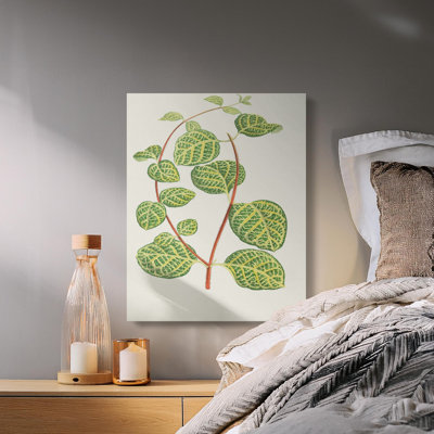 Hervey Wrapped Canvas Print Set