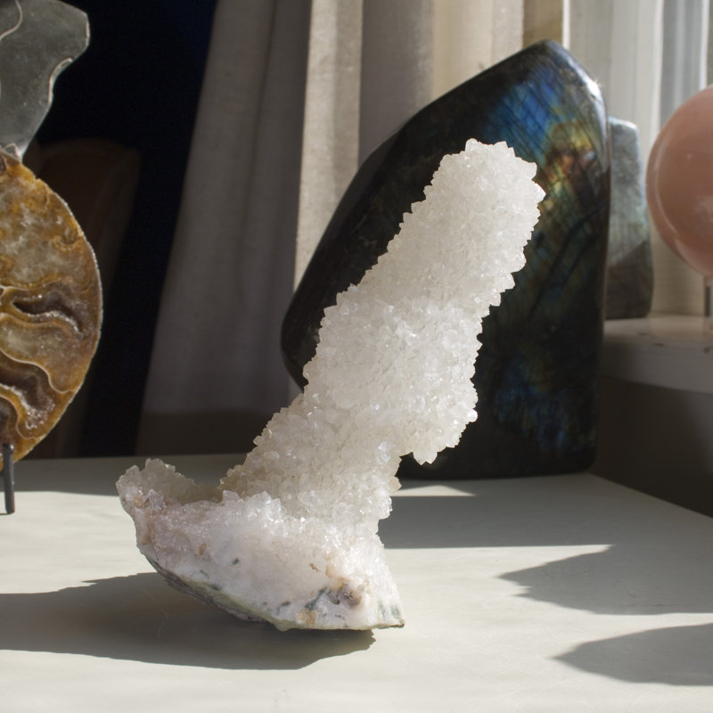 Avdhesh Figurines & Sculptures