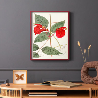 Flora of the Tropics II Framed Print - Solid Wood