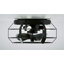 Rakestraw 12.2'' Flush Mount Caged Ceiling Fan with LED Lights and Remote Control-1464528024