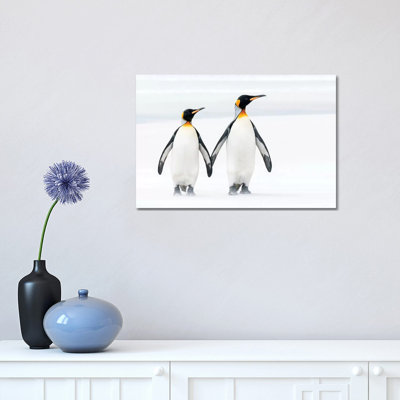 King Penguin Pair on Beach, Volunteer Beach, East Falkland Island, Falkland Islands 1 Piece Wrapped Canvas Wall Art