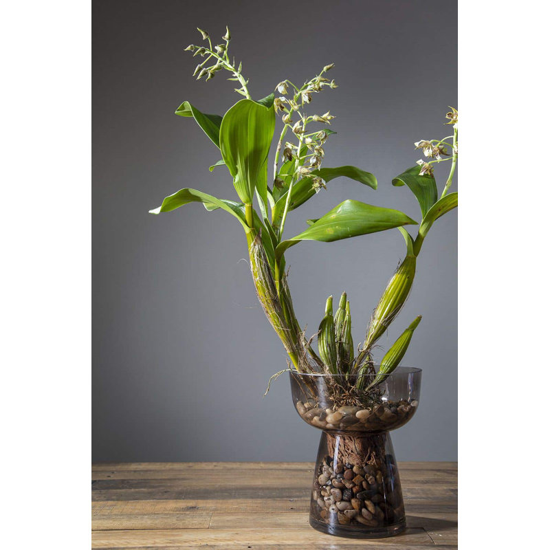 Aylor Handmade Glass Table Vase, 9.75" H x 8.50" W x 8.50" D