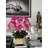 Helena Boat Planter With Phaleanopsis Orchids-111971883