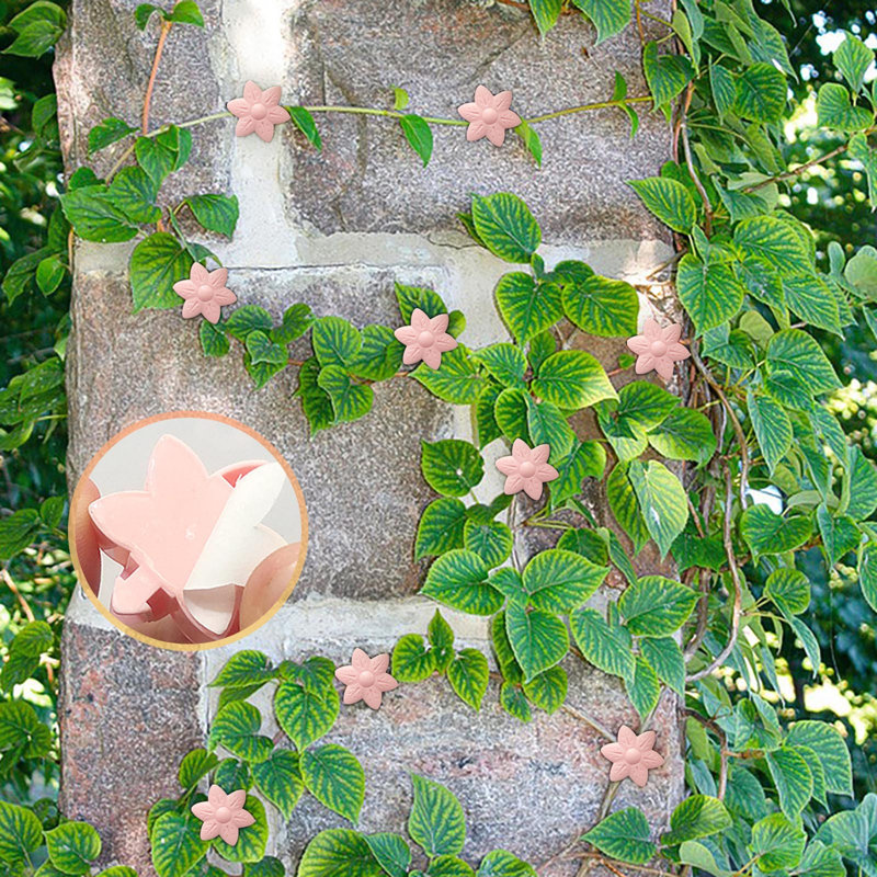 Clips de montage mural pour grimper auto-adhésifs pour plantes 2026 Clips de support suspendus adhésifs, Rose