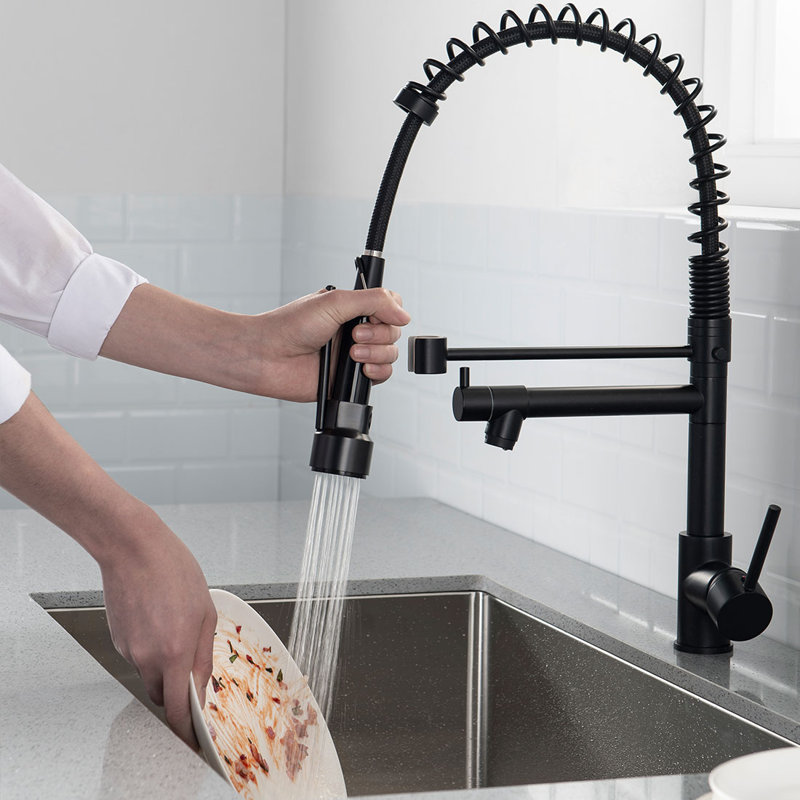 FLG Pull Down Kitchen Faucet