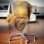 Coussin Golden Sunset-29618465-29618469