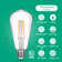 60 Watt Equivalent ST64 E26/Medium (Standard) Dimmable 4000K LED Bulb