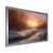 Silver Single Picture Framed