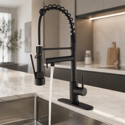 ROBOHIGH Kitchen Faucet Side Spray