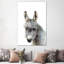 Baby Donkey - Wrapped Canvas Painting-1739745988