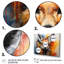 Kangaroo Bound Collage - Imprimé-1758205730-1758205660