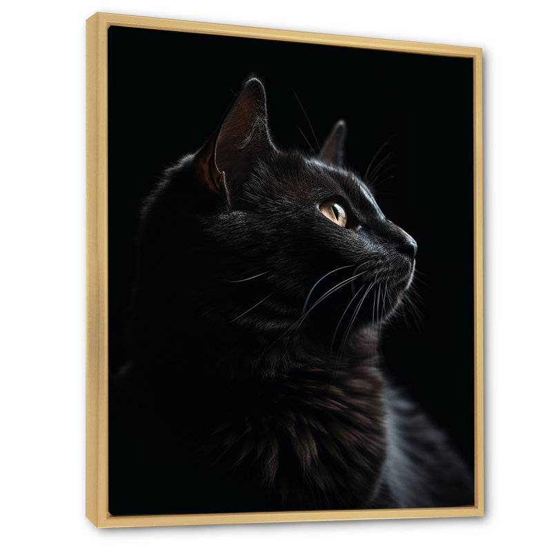 Portrait d'un chat noir, photographie, Cadre naturel flottant, H 40 po x l 30 po x P 1,5 po