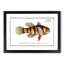 Great-Scaled Umber Fish by M.E. Bloch - Framed Print-55575256-55575257