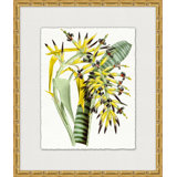 Sunny Botany 6 Painting