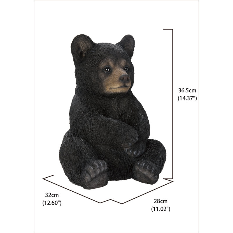 Sitting Black Bear Cub