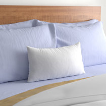 Fairfield Basic Pillow Insert-16 x 16-2 Pack