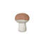 Cushion Boletus