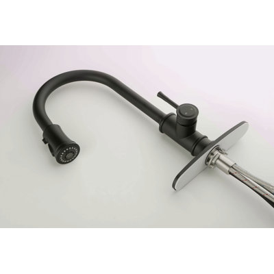 Kitchen Faucet With Pull Out Spraye