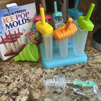 SALTNLIGHT Popsicles Molds, 6 Ice Pop Molds Maker, DIY Pop Molds Maker Ice  Cream Pop Maker Popsicle Trays - With Funnel & Cleaning Brush & Reviews