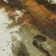 Machine Washable Indoor/Outdoor Xhevrie Brown Rug