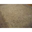 1930s Beige Floral Antique Indian Rug 11' 9" x 14' 10" Handknotted Wool Carpet