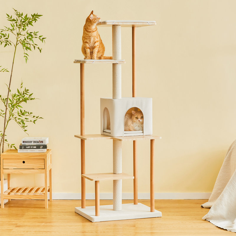 Tour pour chat 63 po