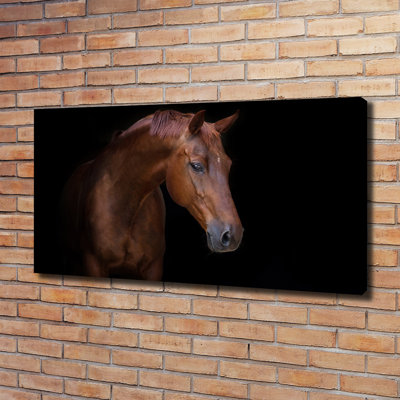 Brown Horse - Wrapped Canvas Print