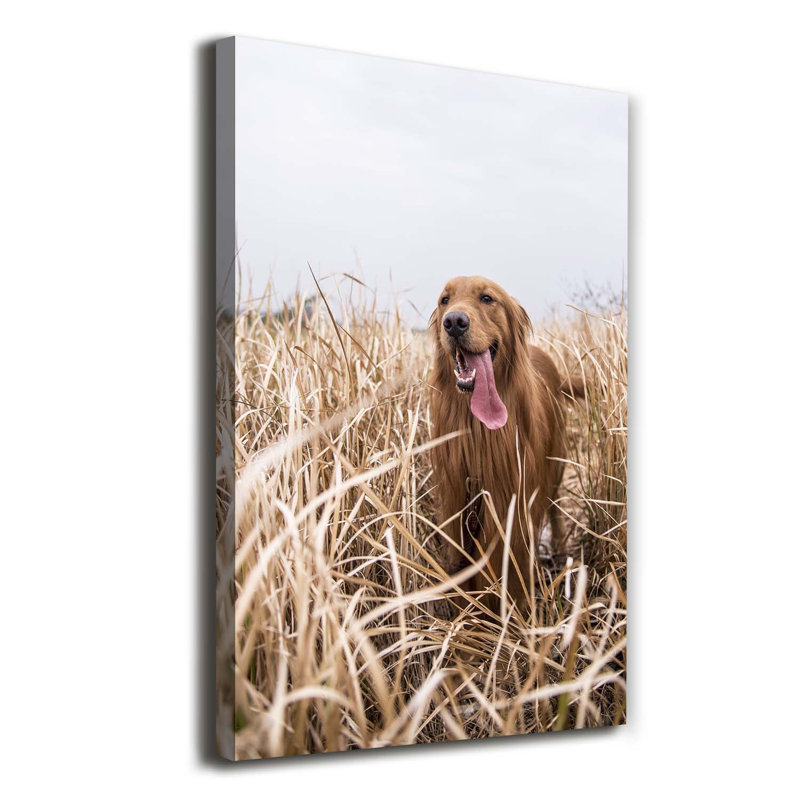 Golden Retriever - Wrapped Canvas Print
