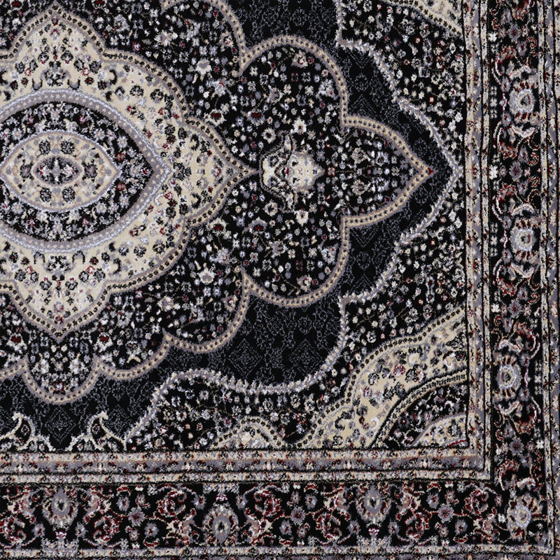 Alsip Oriental Area Rug, Rectangle 60 x 110cm