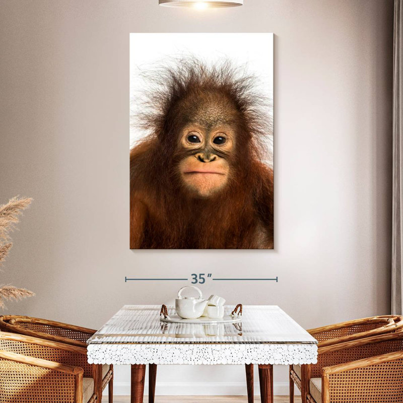 Brampt Hairy Forest Brampt, 51" H x 34" W