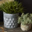 Potomac Handmade Planter-1573380989