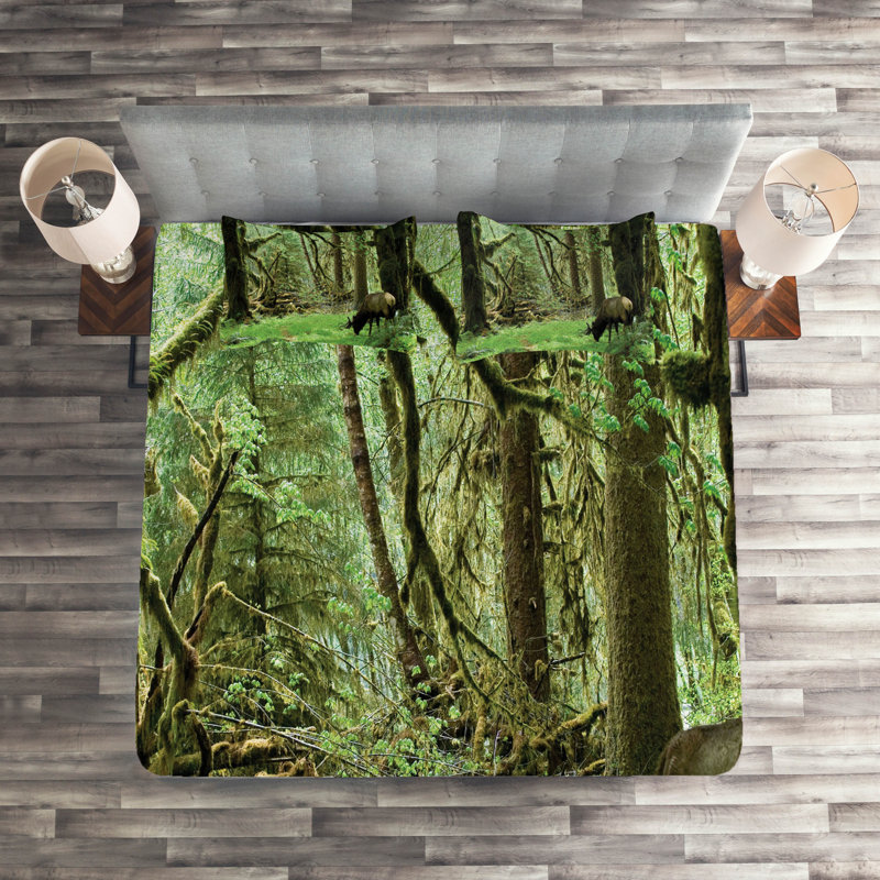 Forest Green Quilted Queen Bedspread Set with Shams