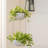 Aroara Hanging Planter