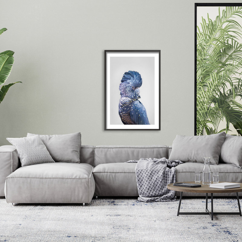 Cacatoès noir par Kathrin Pienaar - reproduction de cadre photo sur bois, L 16 po x H 24 po