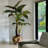 Oversized Teak Bowl With Alocacia Plant