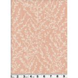 Ivy League Fabric