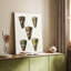 Collection Cone Shell V - Cavas enveloppés de galerie-1725046062