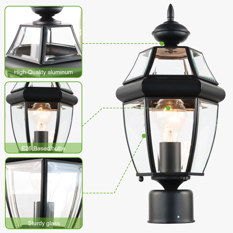 Aalyna Lantern Head