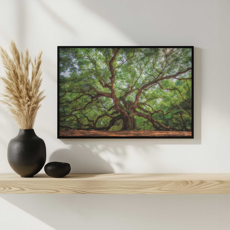 «Angel Oak Tree in Charleston» par Martin Podt, reproduction d'art, L 12 po x H 8 po, Blanc, Impression encadrée