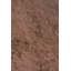 Hundley Wool Floral Area Rug-1412546372