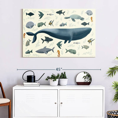 Animaux de mer