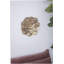 Plaque murale succulente D10x1,4 "